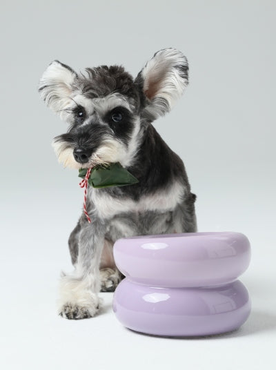 Sniff Lick & Love - Limited Edition Soufflé Designer Pet Bowl – Purple