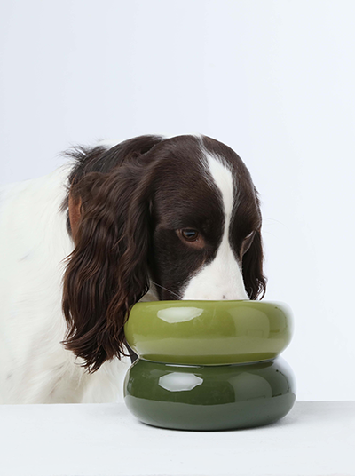 Sniff Lick & Love - Limited Edition Soufflé Designer Pet Bowl