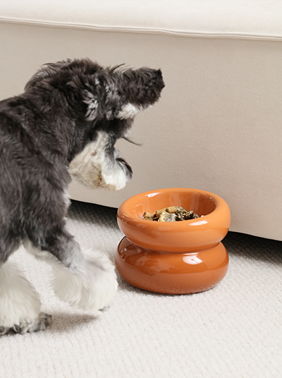 Sniff Lick & Love - Limited Edition Soufflé Designer Pet Bowl – Amber Orange