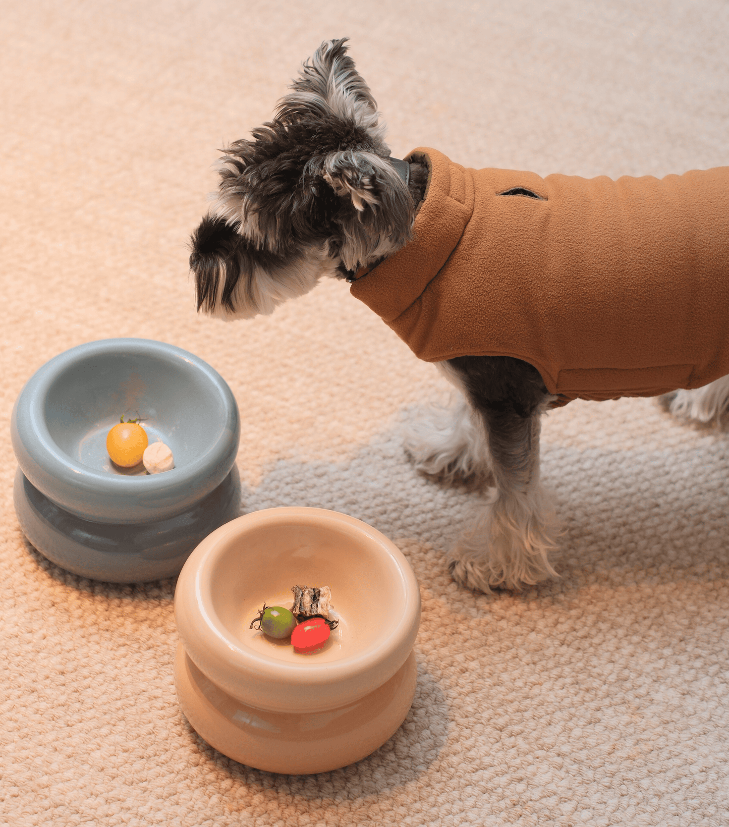 Sniff Lick & Love - Limited Edition Soufflé Designer Pet Bowl – Cream Beige
