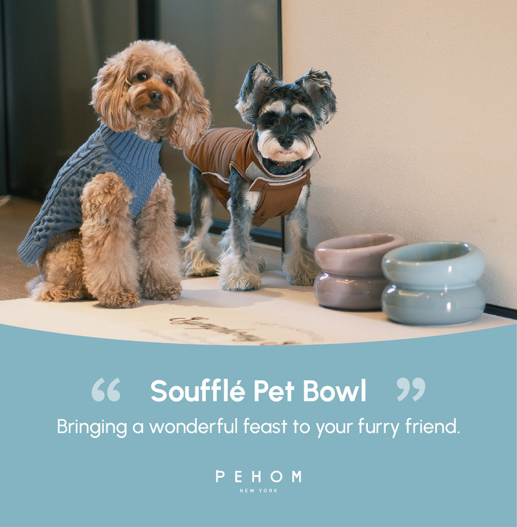 Sniff Lick & Love - Limited Edition Soufflé Designer Pet Bowl – Frozen Blue