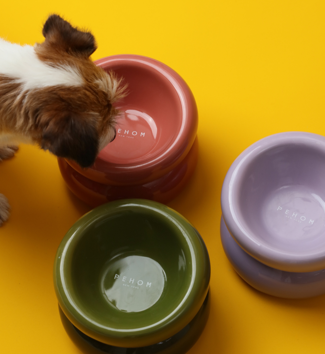 Sniff Lick & Love - Limited Edition Soufflé Designer Pet Bowl – Purple