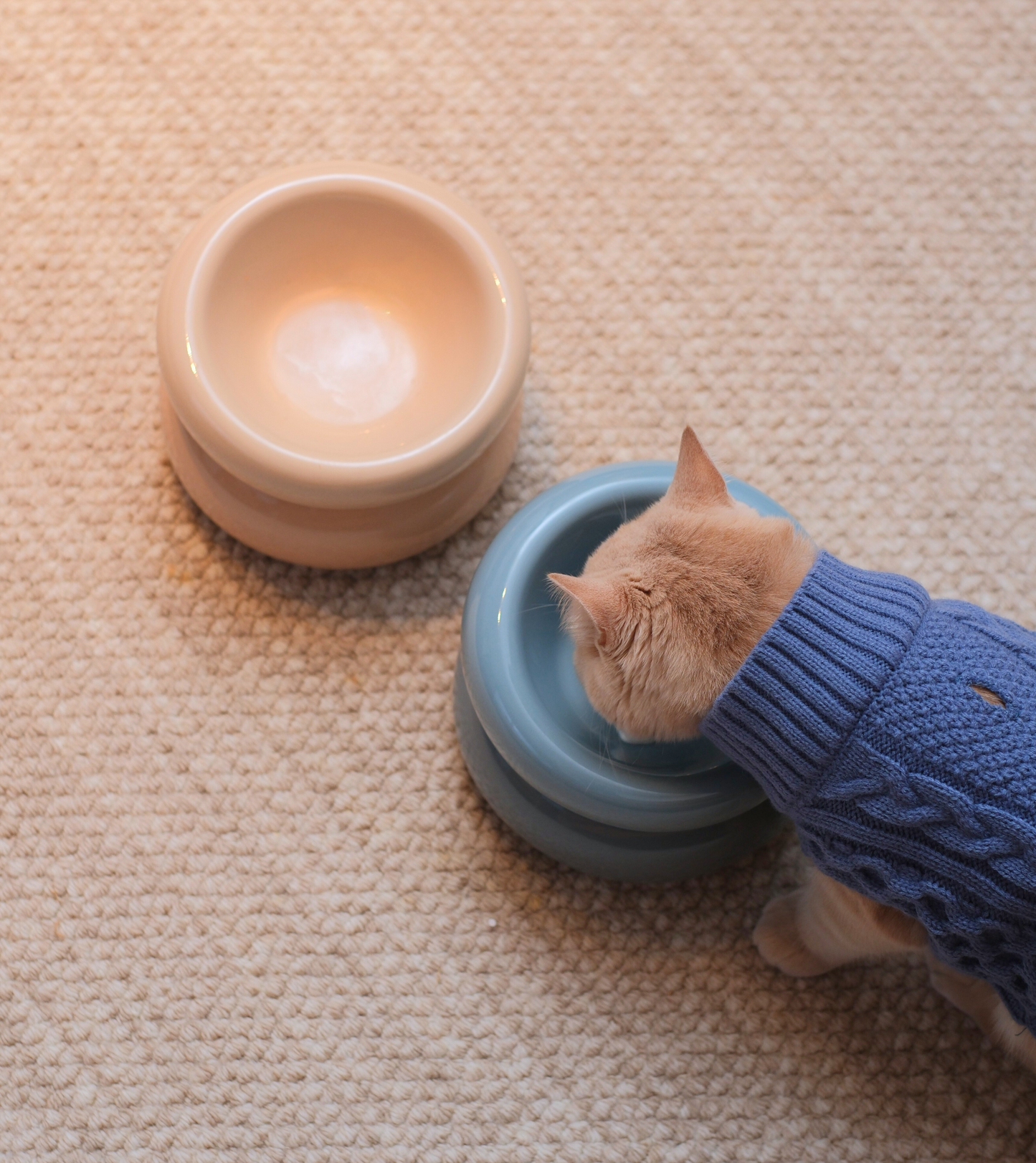 Sniff Lick & Love - Limited Edition Soufflé Designer Pet Bowl – Cream Beige