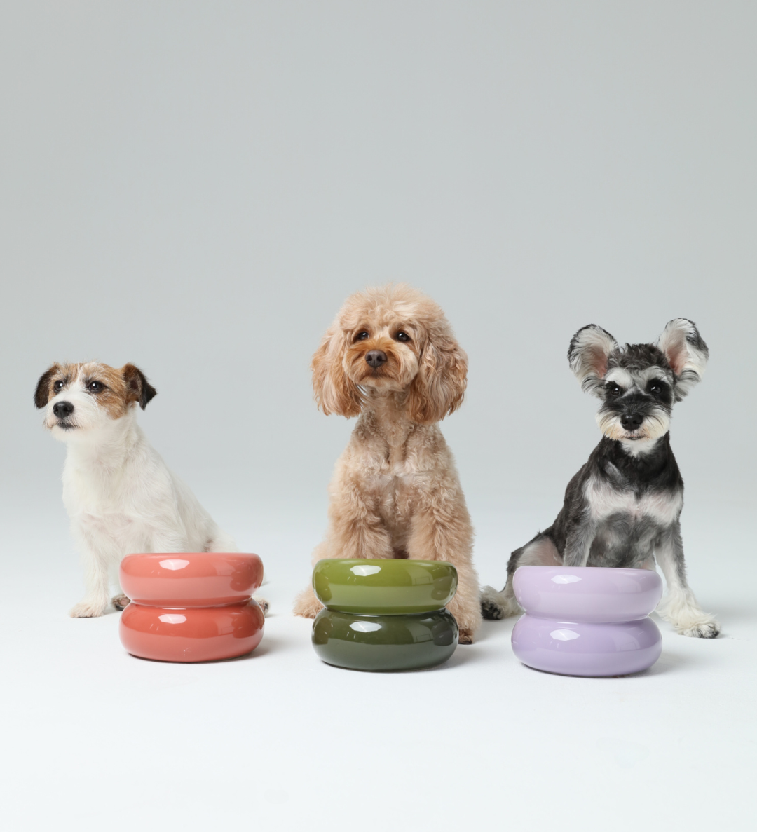 Sniff Lick & Love - Limited Edition Soufflé Designer Pet Bowl – Purple