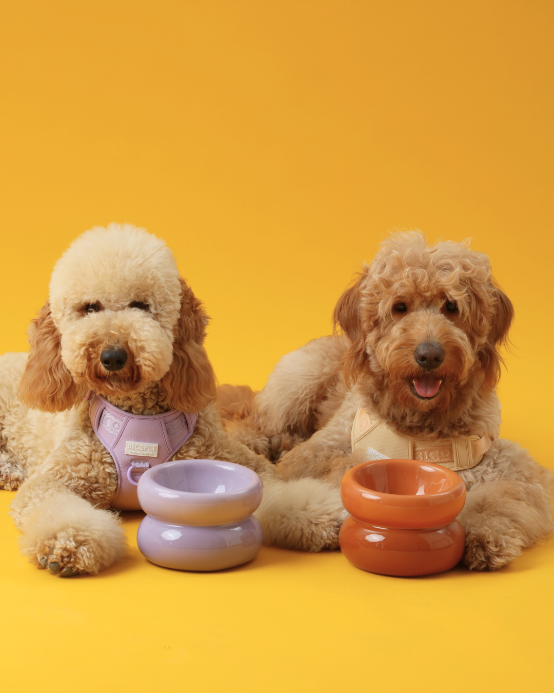 Sniff Lick & Love - Limited Edition Soufflé Designer Pet Bowl – Purple