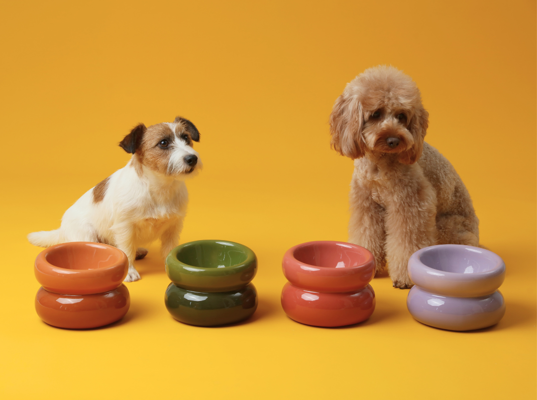 Sniff Lick & Love - Limited Edition Soufflé Designer Pet Bowl – Frozen Blue
