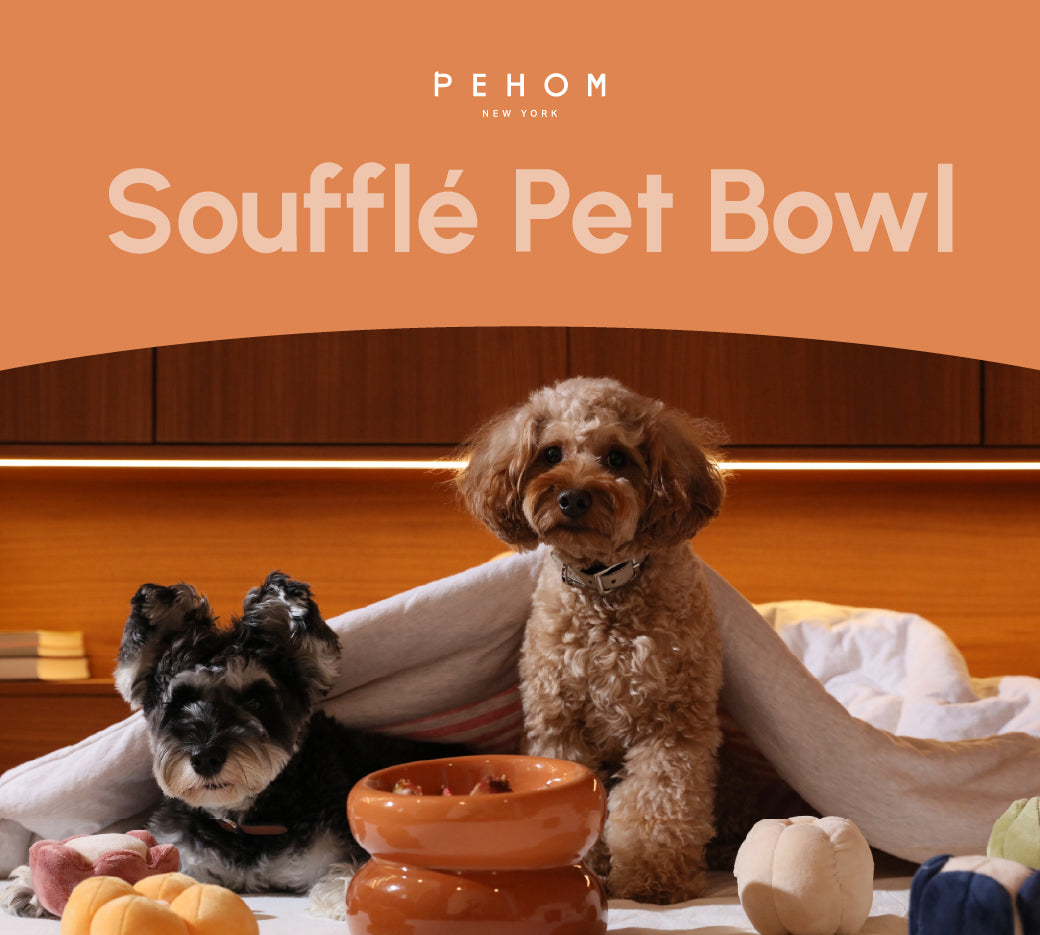Sniff Lick & Love - Limited Edition Soufflé Designer Pet Bowl – Amber Orange