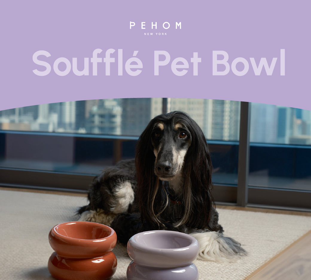 Sniff Lick & Love - Limited Edition Soufflé Designer Pet Bowl – Purple