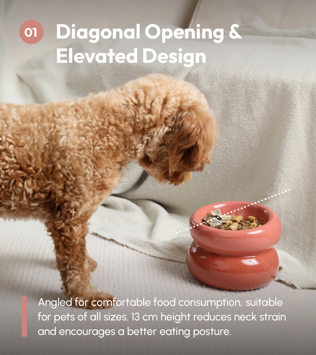 Sniff Lick & Love - Limited Edition Soufflé Designer Pet Bowl – Rose Pink