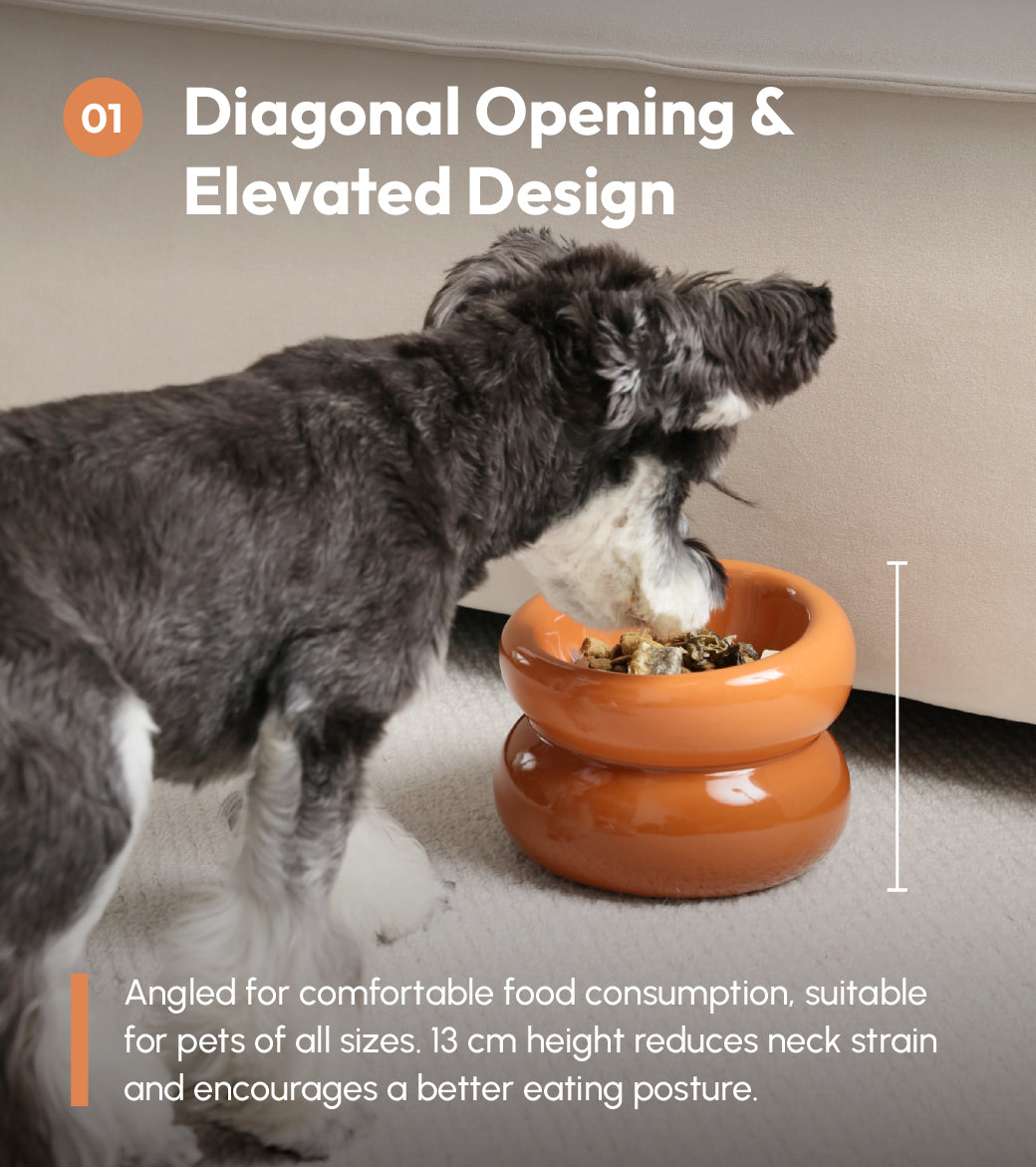 Sniff Lick & Love - Limited Edition Soufflé Designer Pet Bowl – Amber Orange