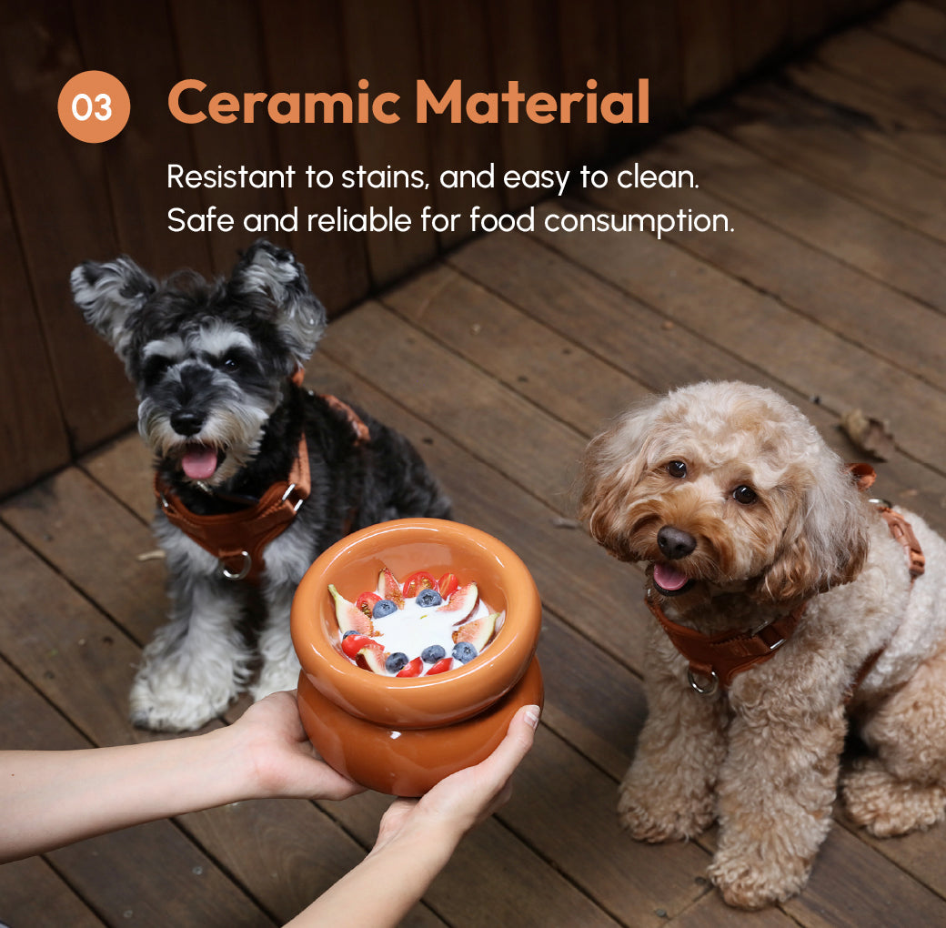 Sniff Lick & Love - Limited Edition Soufflé Designer Pet Bowl – Amber Orange