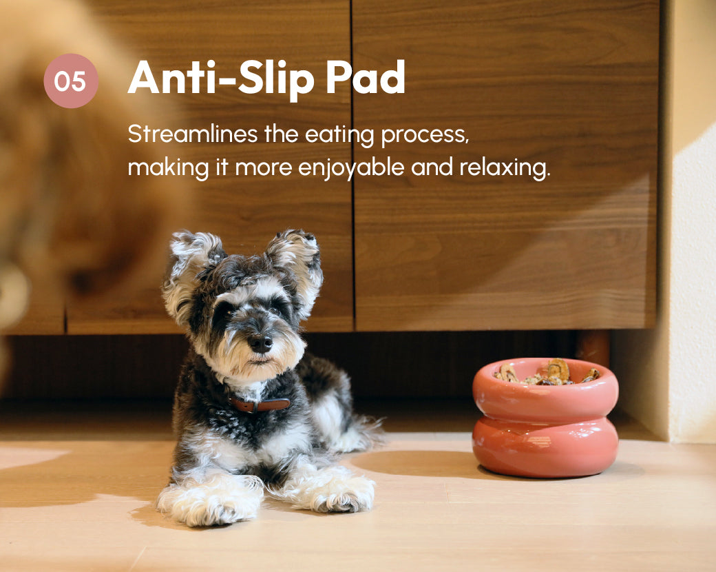 Sniff Lick & Love - Limited Edition Soufflé Designer Pet Bowl – Rose Pink
