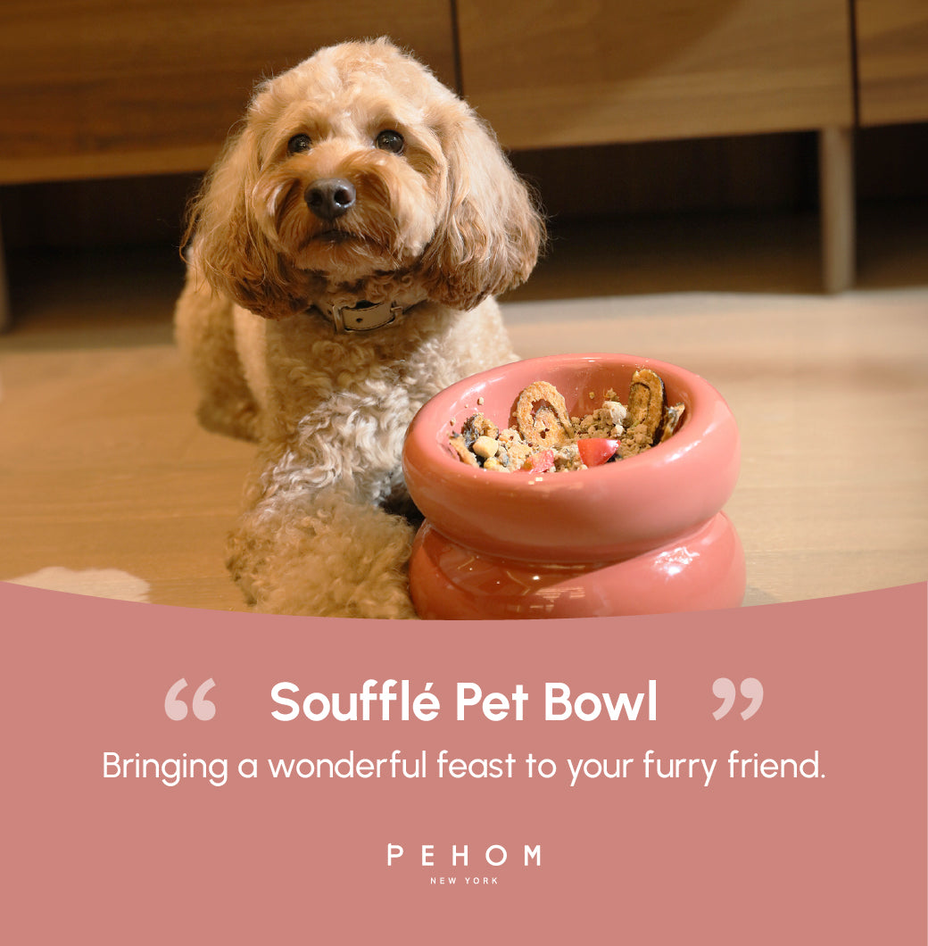 Sniff Lick & Love - Limited Edition Soufflé Designer Pet Bowl – Rose Pink