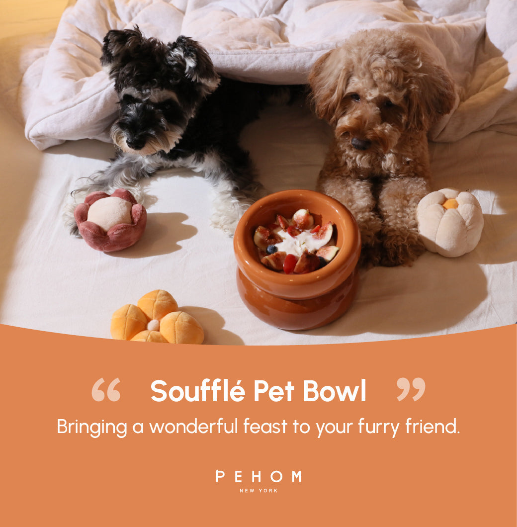 Sniff Lick & Love - Limited Edition Soufflé Designer Pet Bowl – Amber Orange