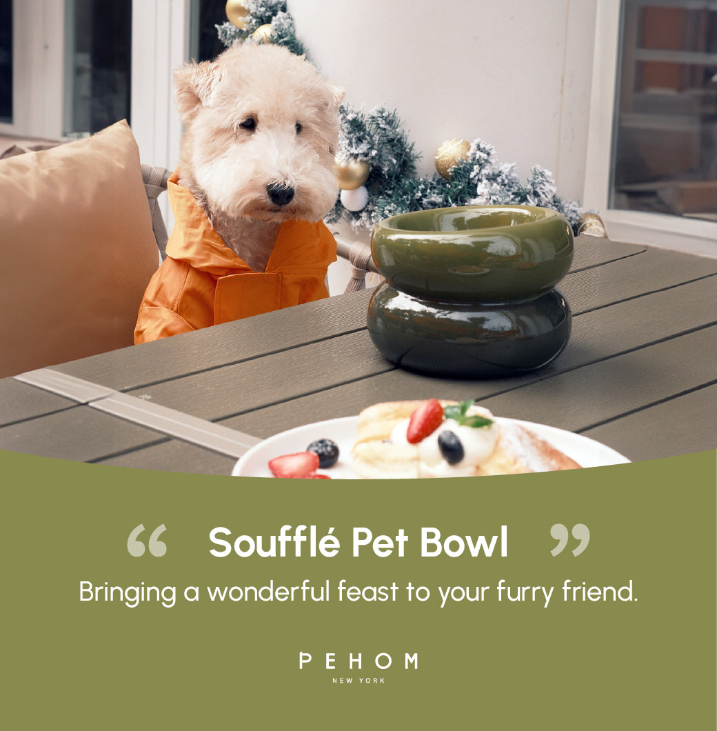 Sniff Lick & Love - Limited Edition Soufflé Designer Pet Bowl