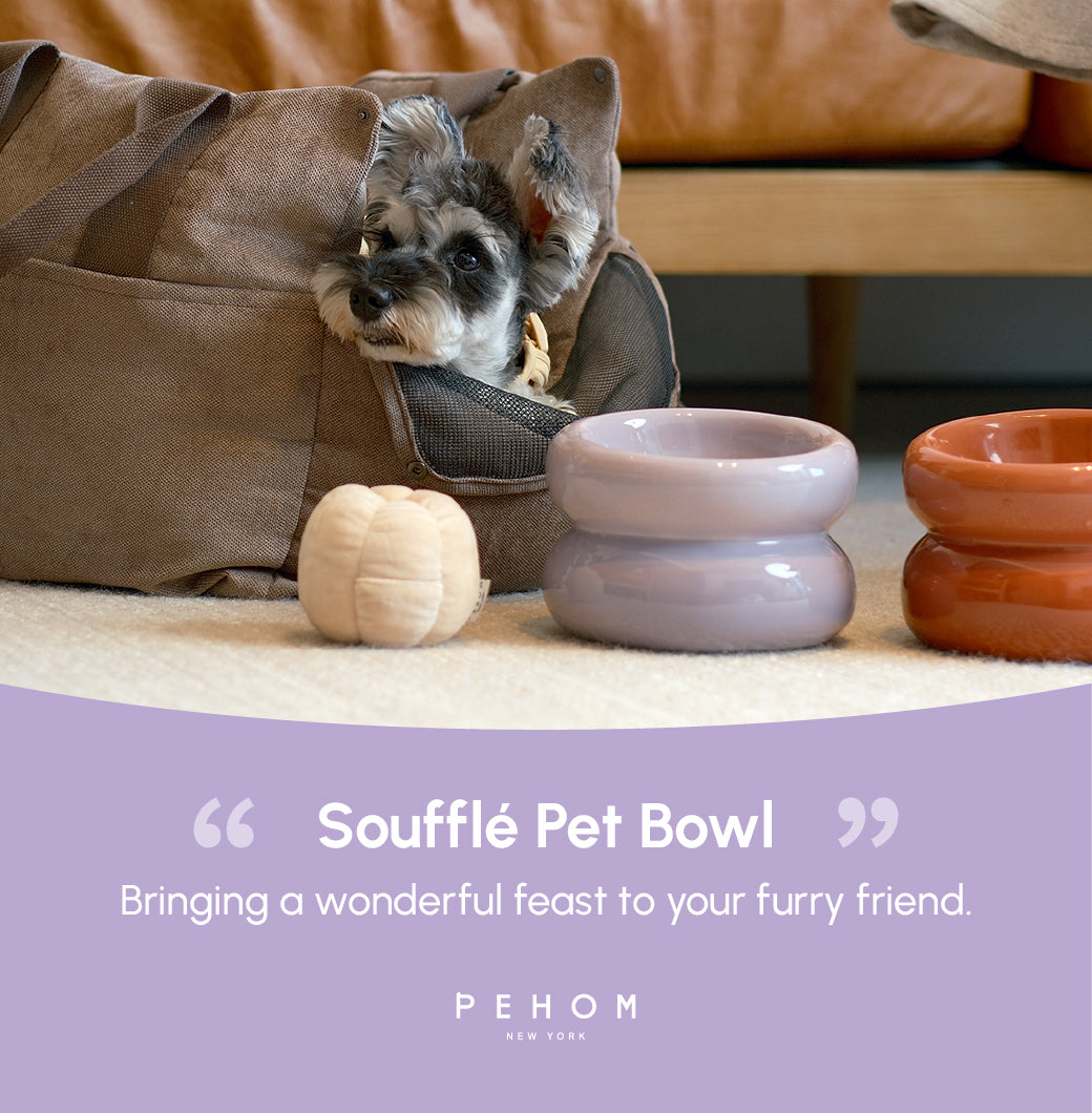 Sniff Lick & Love - Limited Edition Soufflé Designer Pet Bowl – Purple