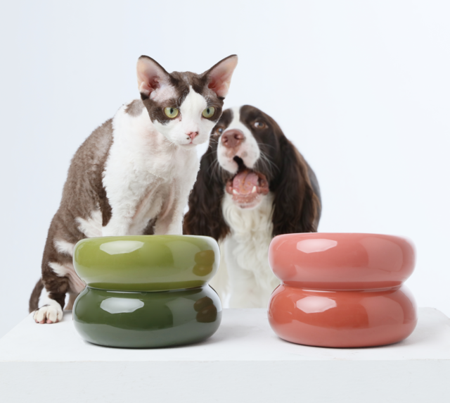 Sniff Lick & Love - Limited Edition Soufflé Designer Pet Bowl – Amber Orange