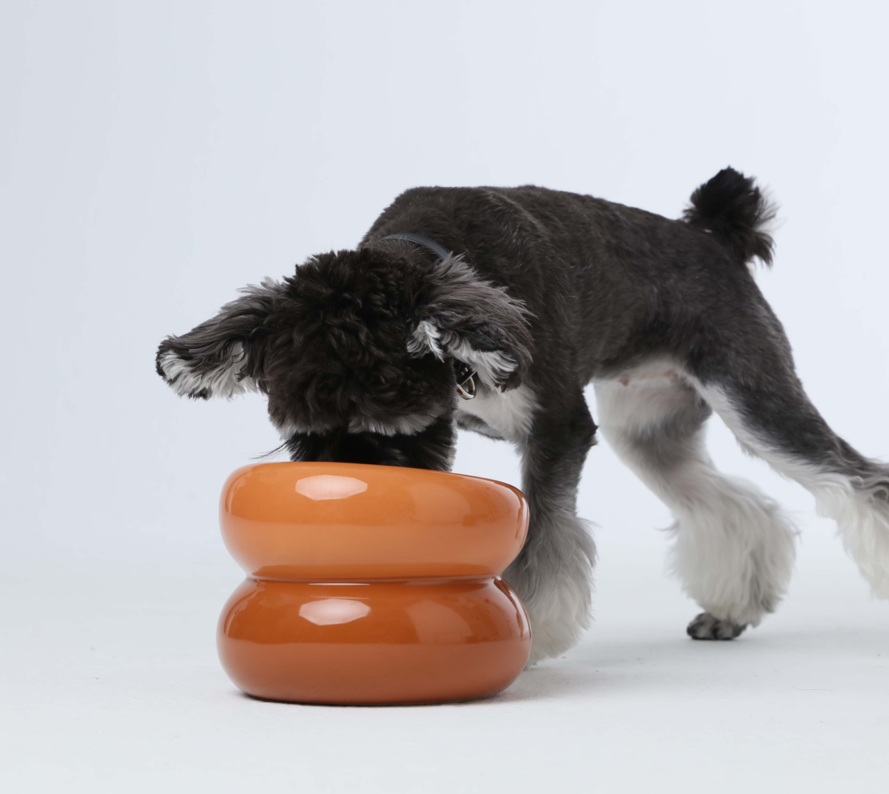 Sniff Lick & Love - Limited Edition Soufflé Designer Pet Bowl – Amber Orange