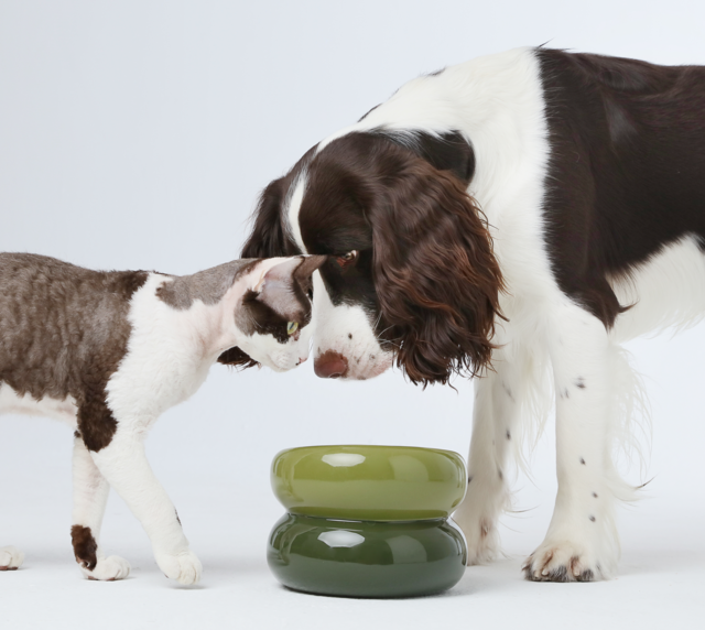Sniff Lick & Love - Limited Edition Soufflé Designer Pet Bowl