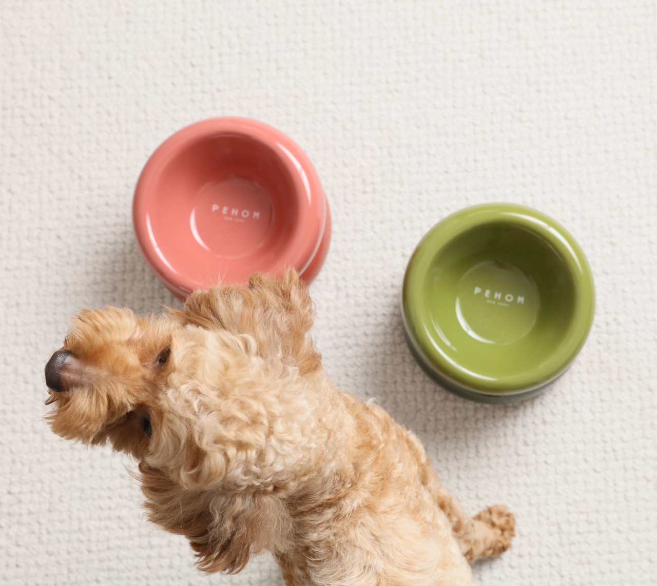 Sniff Lick & Love - Limited Edition Soufflé Designer Pet Bowl – Purple