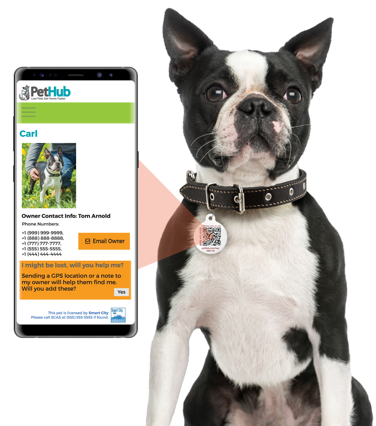 Sniff Lick & Love - Smart QR Pet ID Tag (Store Exclusive)