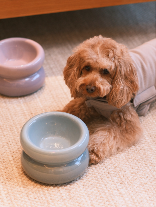 Sniff Lick & Love - Limited Edition Soufflé Designer Pet Bowl – Frozen Blue