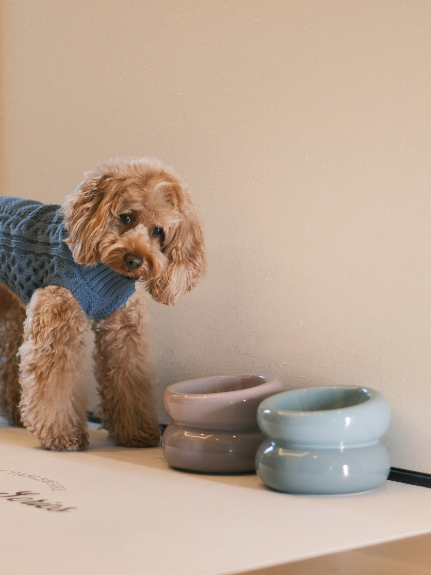 Sniff Lick & Love - Limited Edition Soufflé Designer Pet Bowl – Frozen Blue