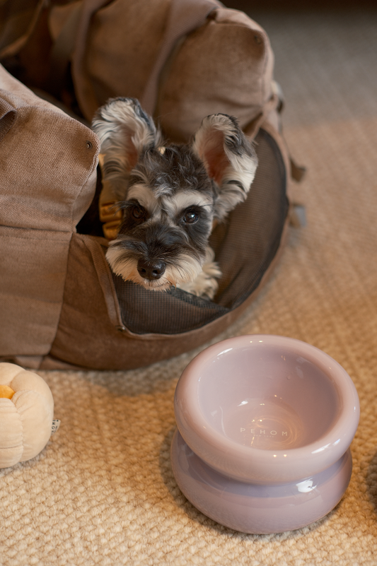 Sniff Lick & Love - Limited Edition Soufflé Designer Pet Bowl – Purple