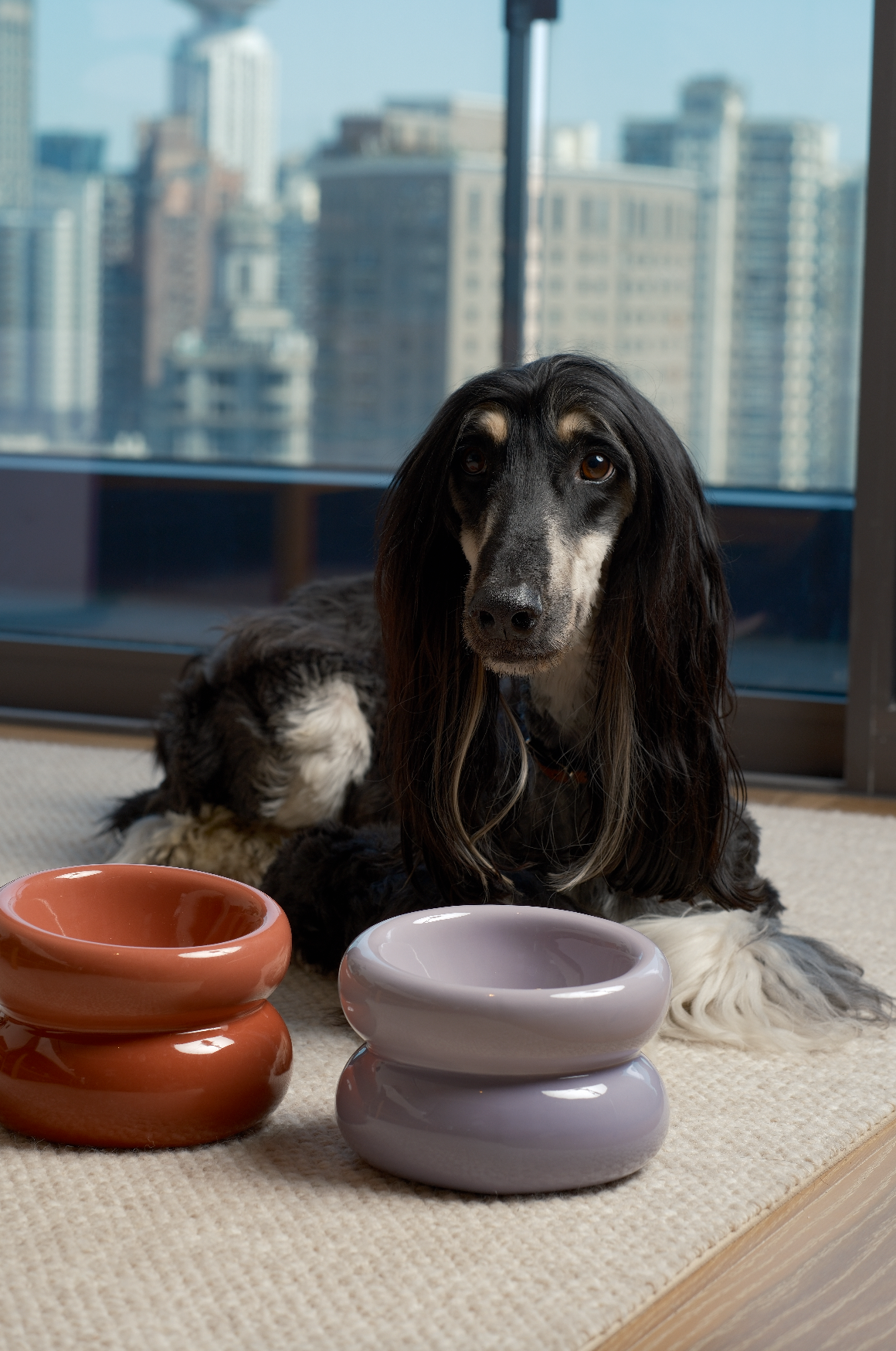 Sniff Lick & Love - Limited Edition Soufflé Designer Pet Bowl – Purple