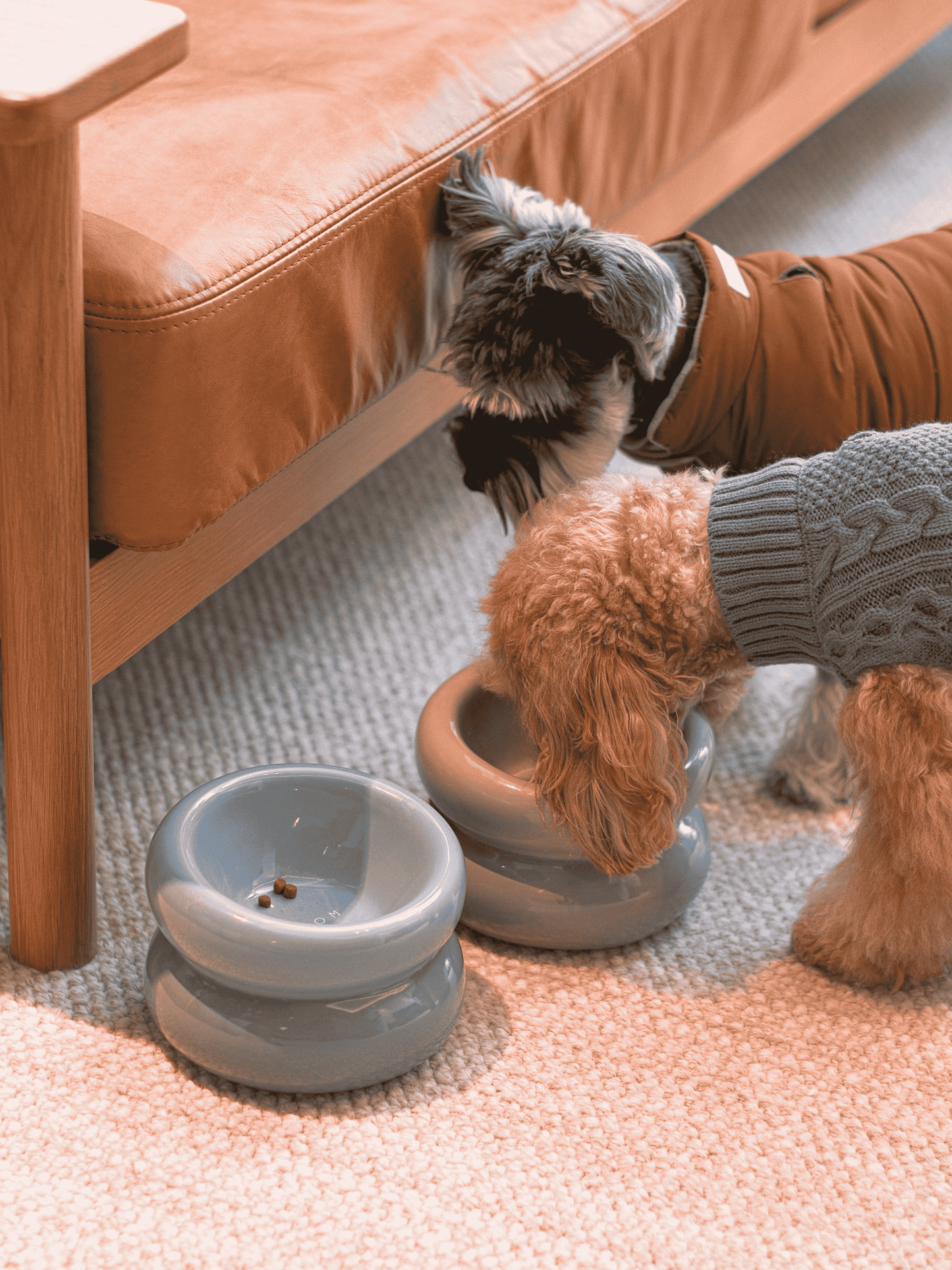 Sniff Lick & Love - Limited Edition Soufflé Designer Pet Bowl – Frozen Blue