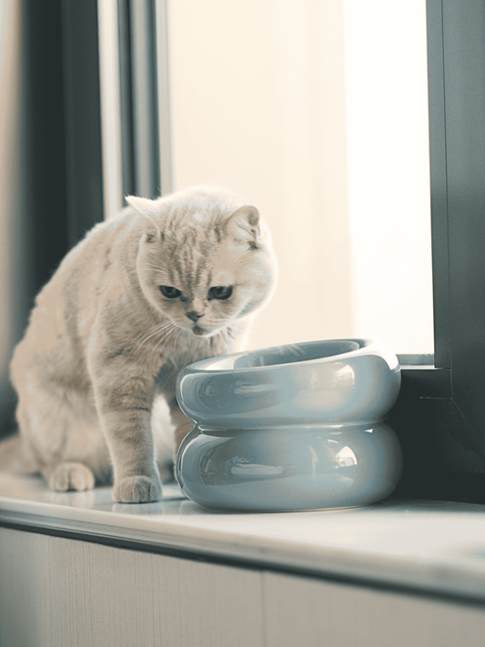 Sniff Lick & Love - Limited Edition Soufflé Designer Pet Bowl – Frozen Blue