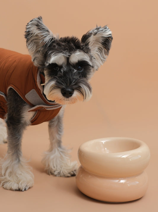 Sniff Lick & Love - Limited Edition Soufflé Designer Pet Bowl – Cream Beige